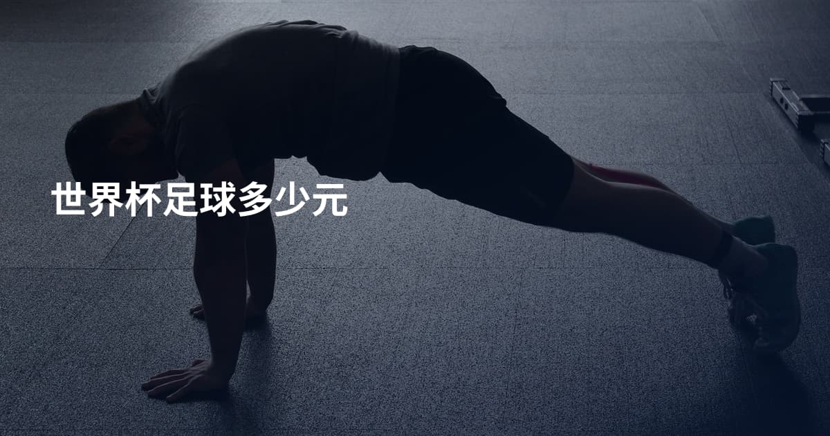 世界杯足球多少元