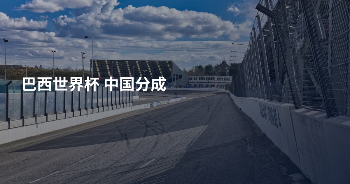 巴西世界杯 中国分成