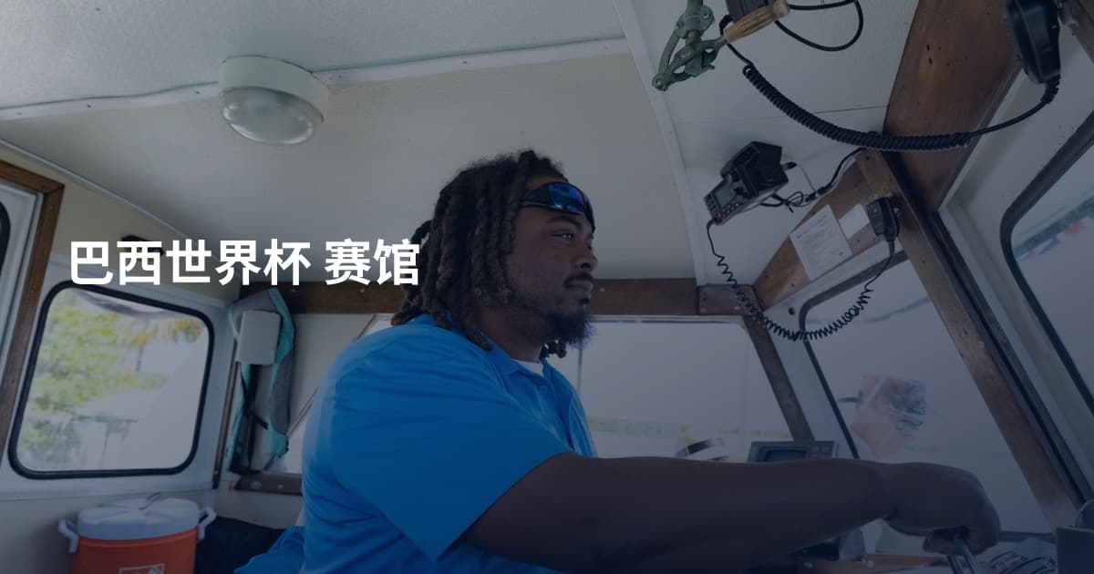 巴西世界杯 赛馆