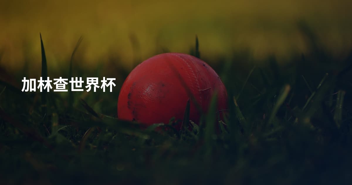 加林查世界杯