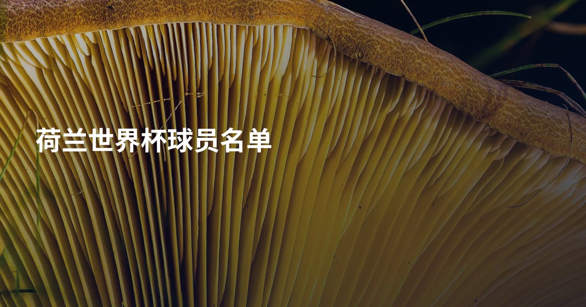 荷兰世界杯球员名单