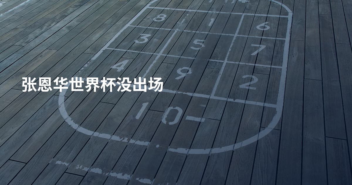 张恩华世界杯没出场