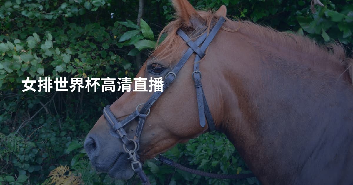 女排世界杯高清直播