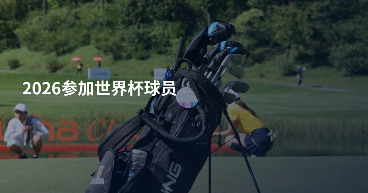 2026参加世界杯球员