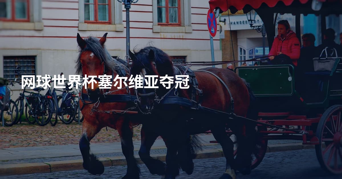 网球世界杯塞尔维亚夺冠