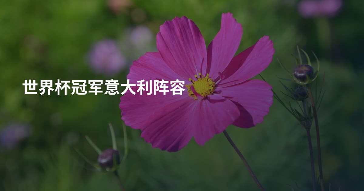 世界杯冠军意大利阵容