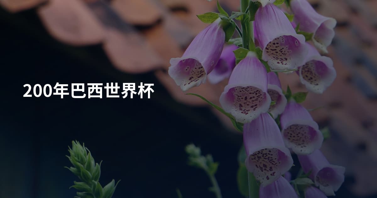 200年巴西世界杯