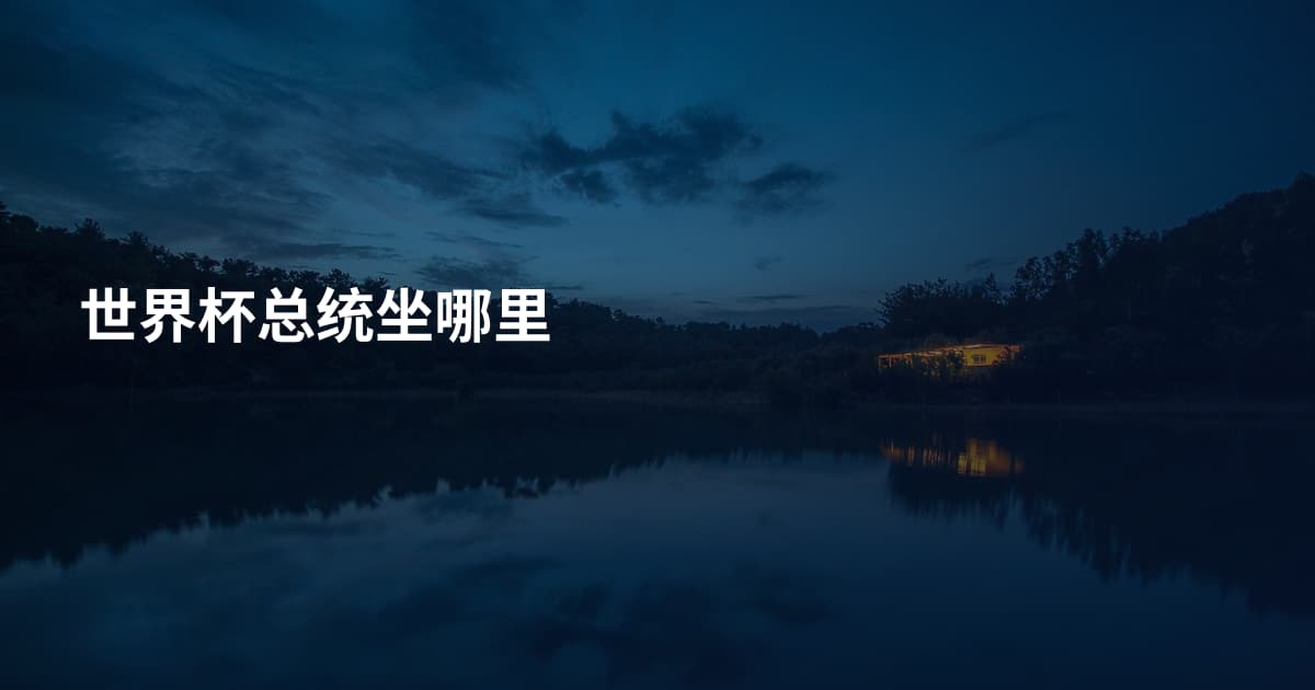 世界杯总统坐哪里