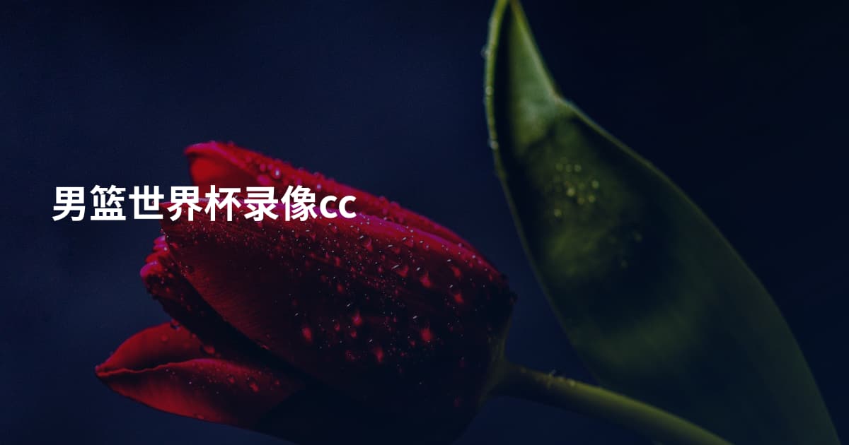 男篮世界杯录像cc