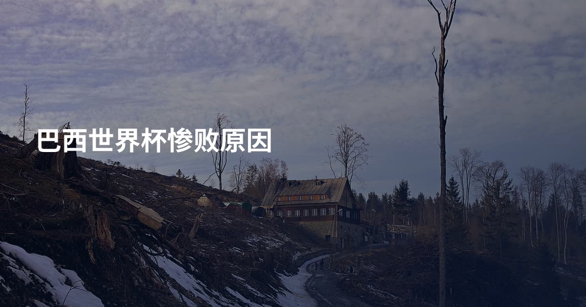 巴西世界杯惨败原因