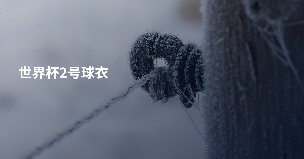 世界杯2号球衣