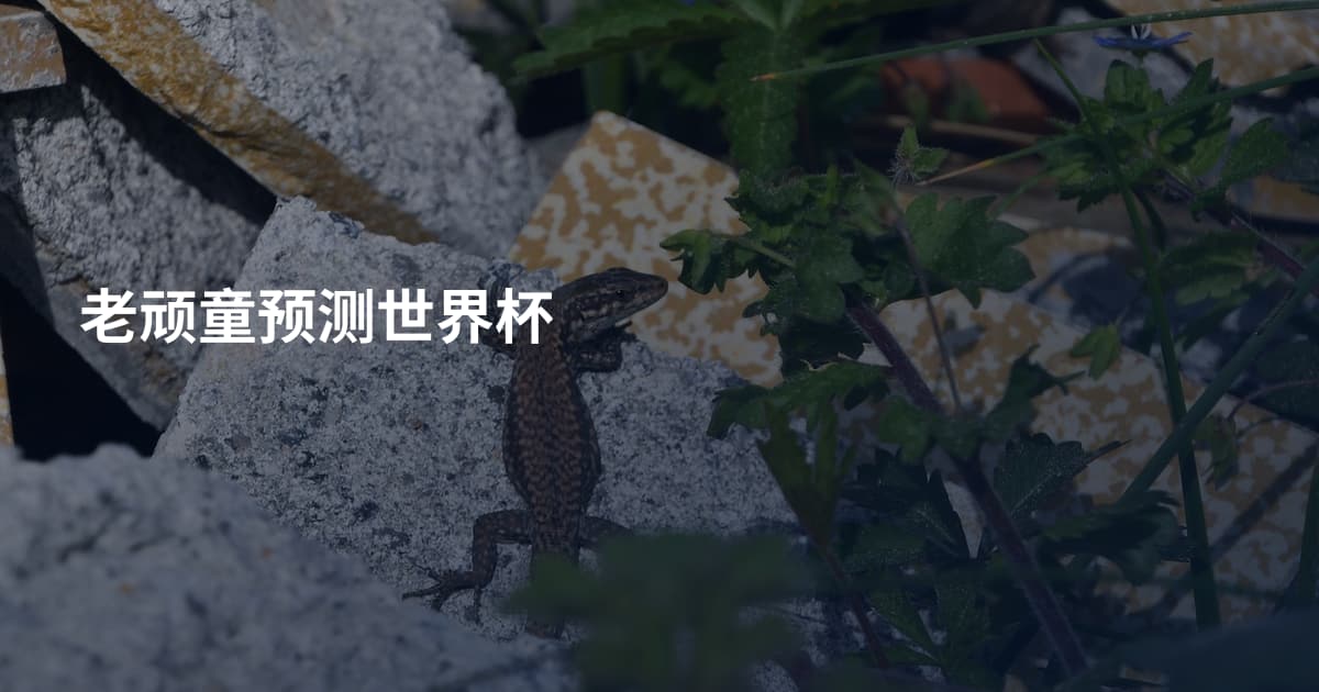 老顽童预测世界杯