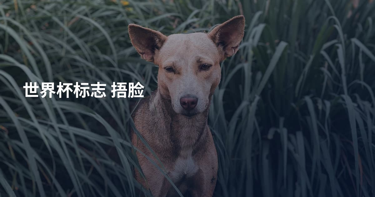 世界杯标志 捂脸