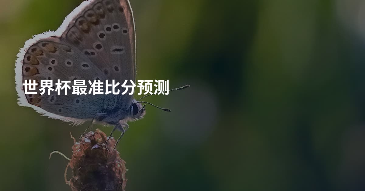世界杯最准比分预测