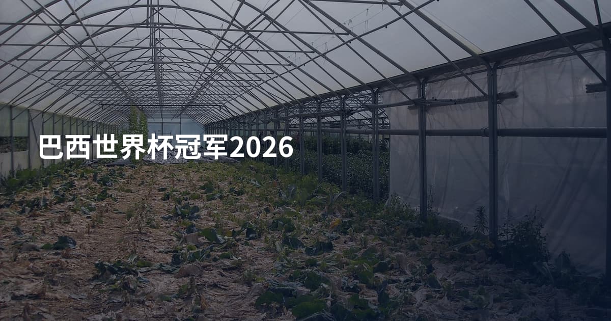 巴西世界杯冠军2026