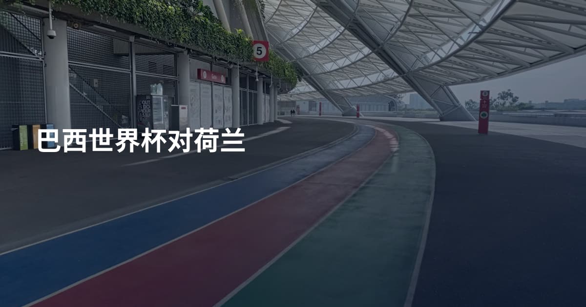 巴西世界杯对荷兰