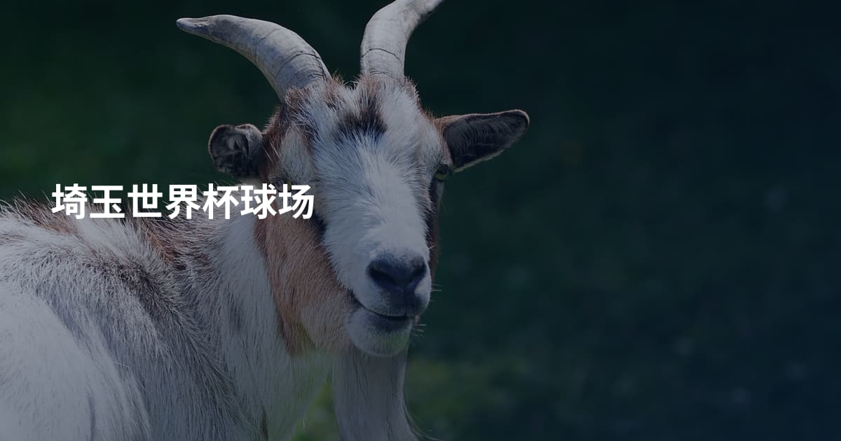 埼玉世界杯球场