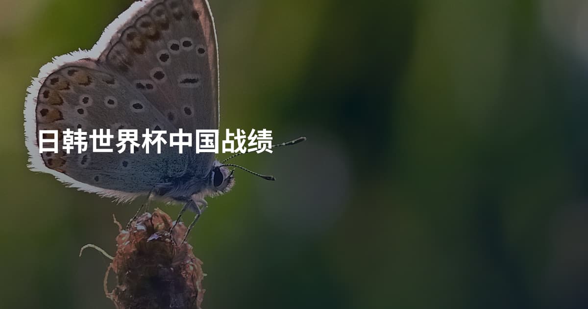 日韩世界杯中国战绩
