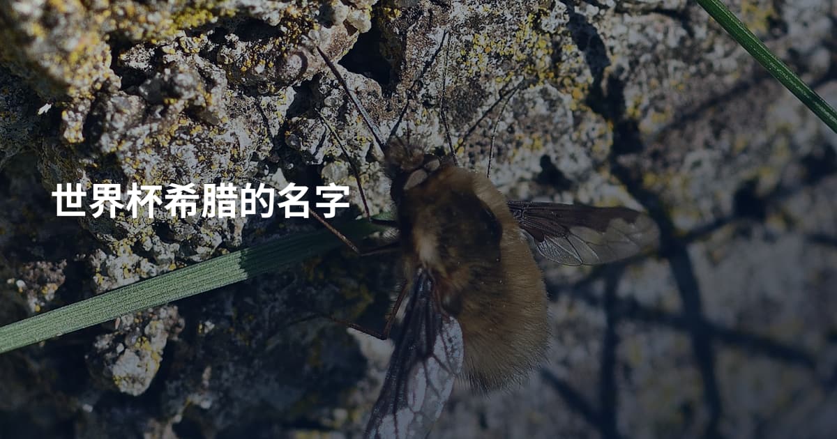 世界杯希腊的名字