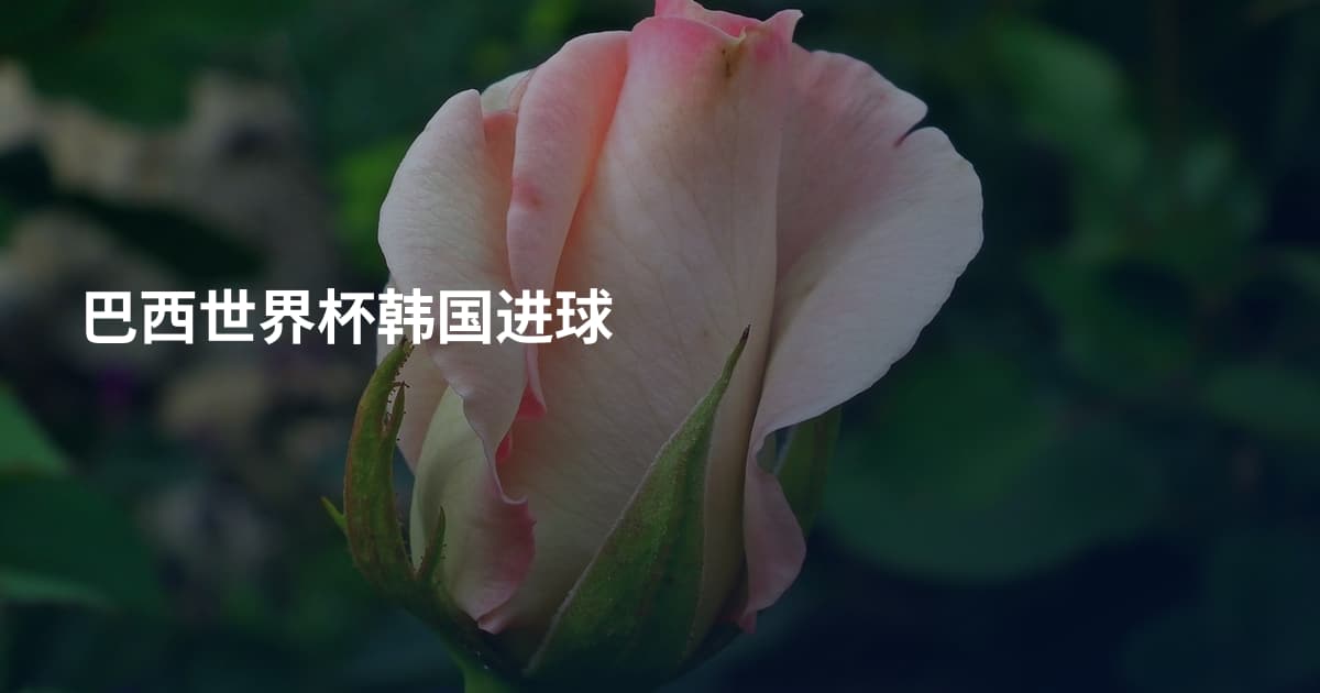 巴西世界杯韩国进球