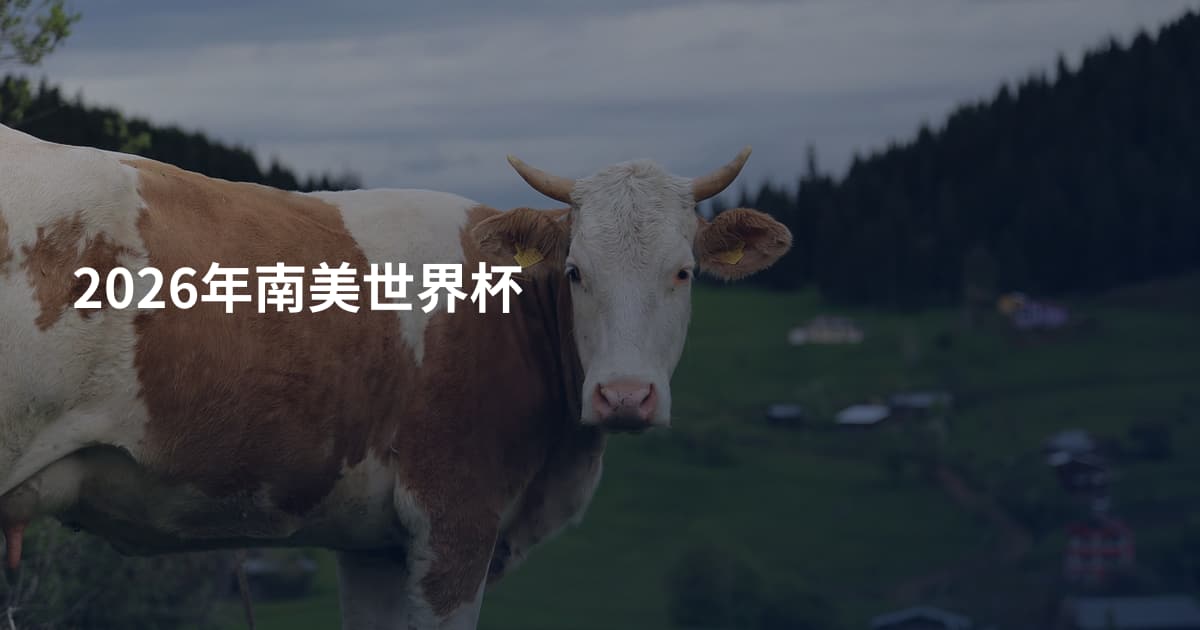 2026年南美世界杯