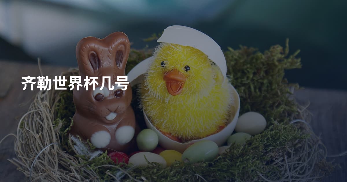 齐勒世界杯几号
