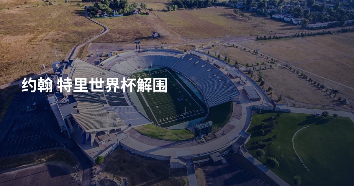 约翰 特里世界杯解围