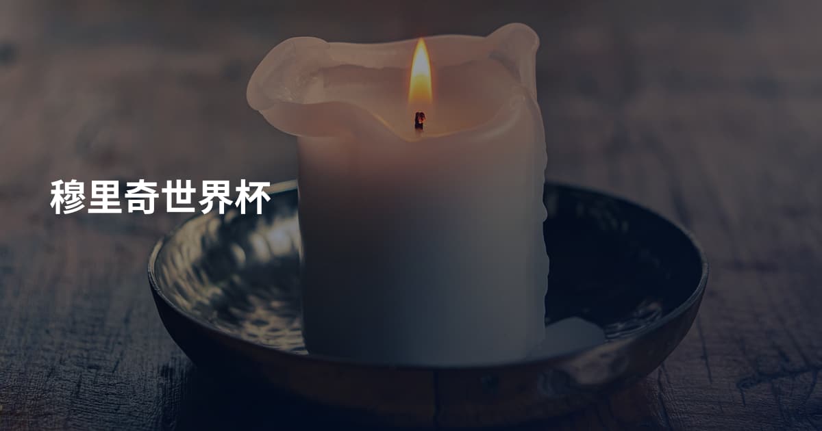 穆里奇世界杯