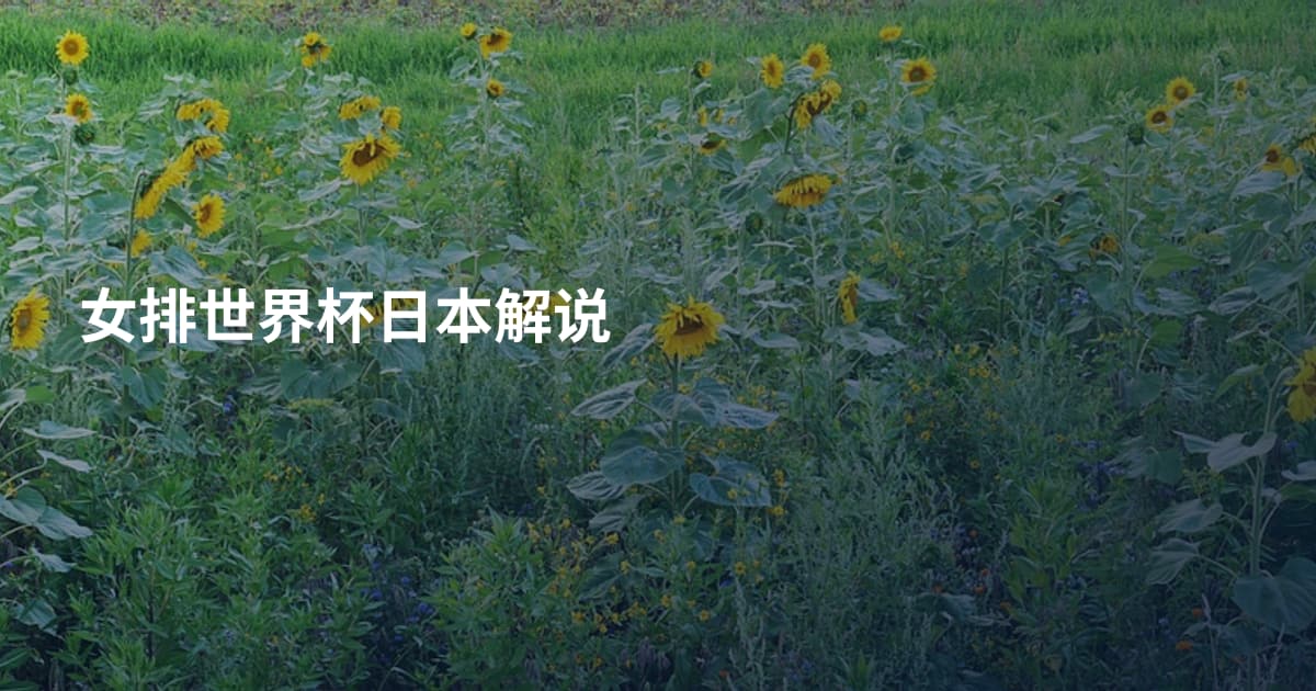 女排世界杯日本解说