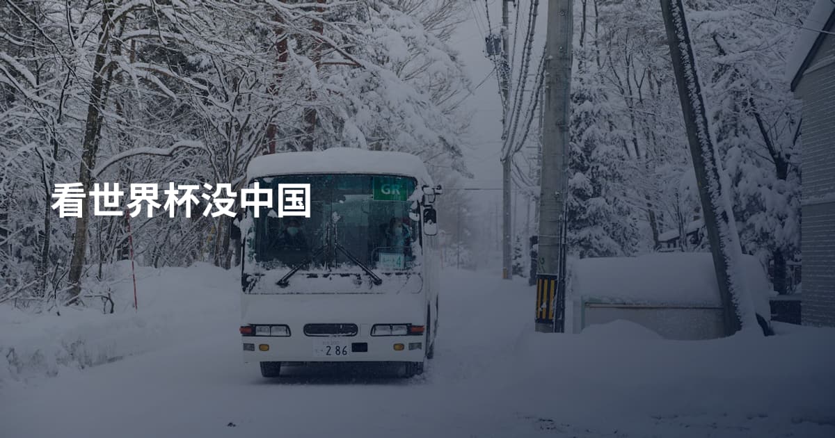 看世界杯没中国