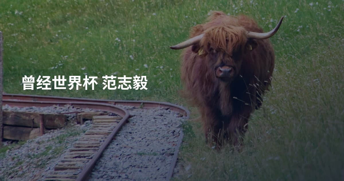 曾经世界杯 范志毅