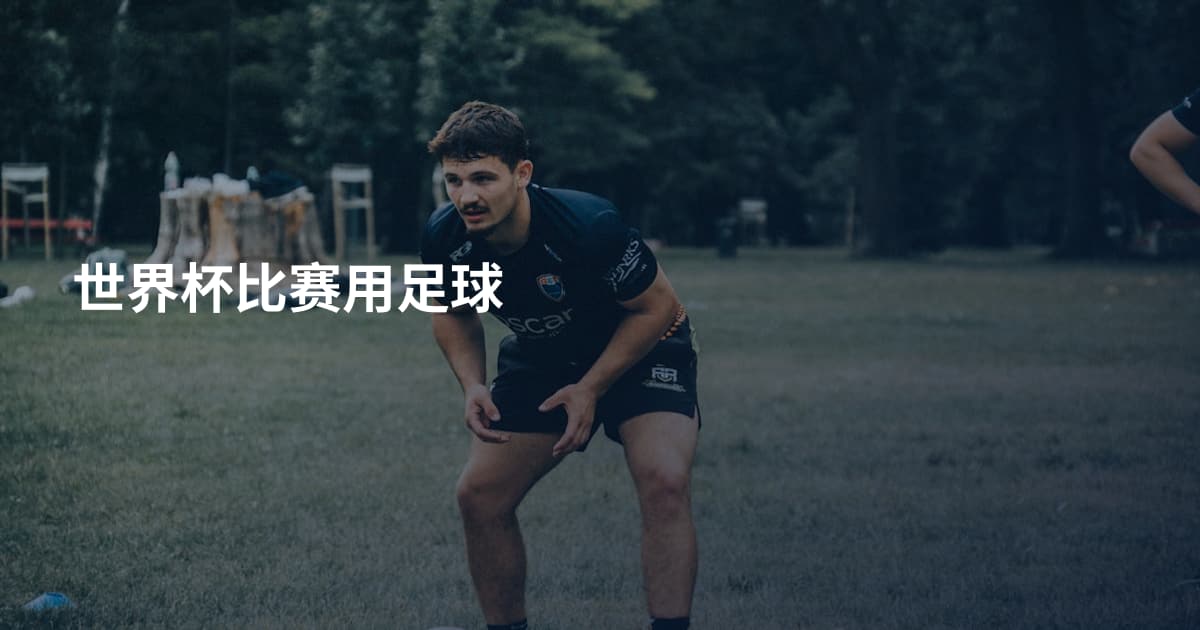 世界杯比赛用足球
