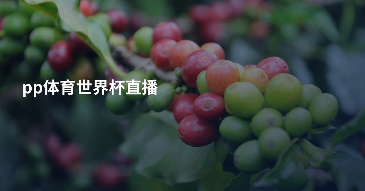 pp体育世界杯直播