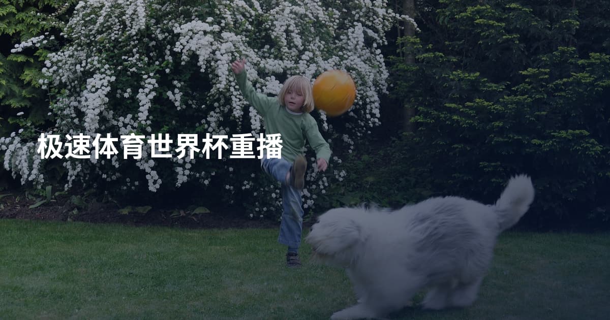 极速体育世界杯重播