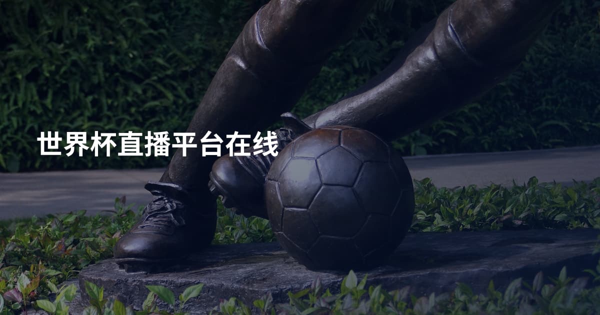 世界杯直播平台在线
