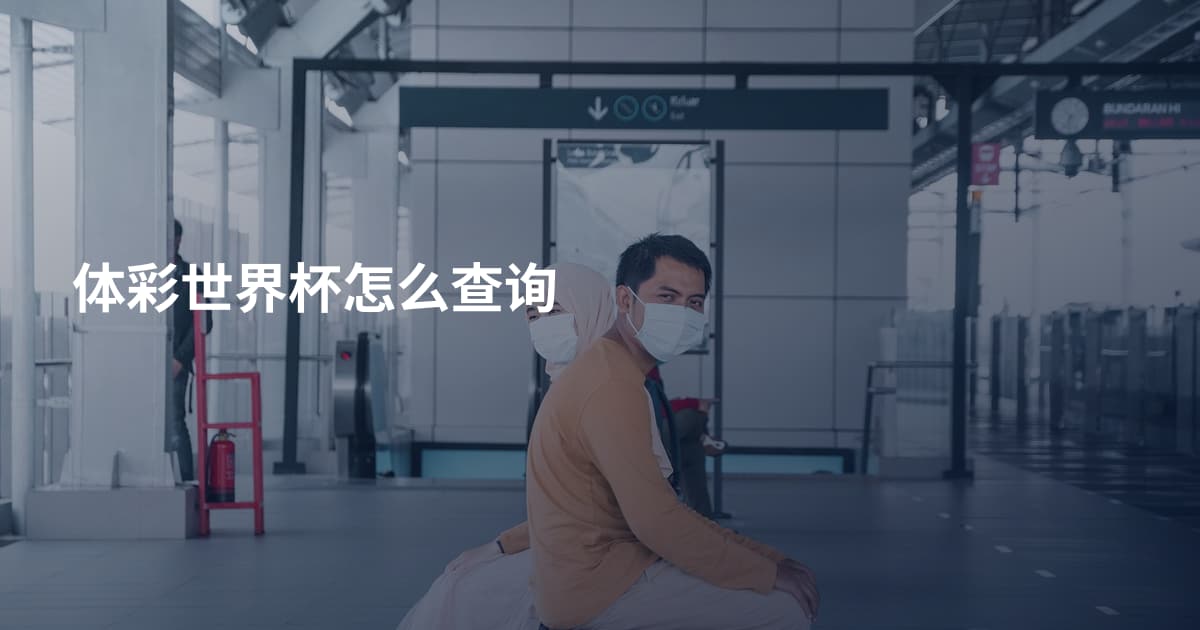 体彩世界杯怎么查询