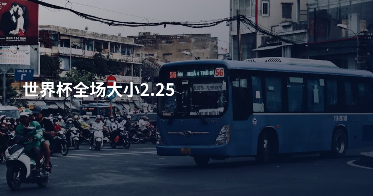 世界杯全场大小2.25
