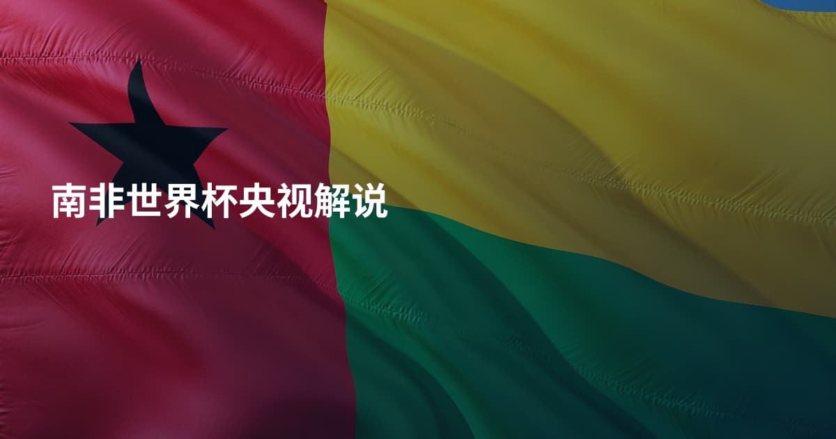 南非世界杯央视解说
