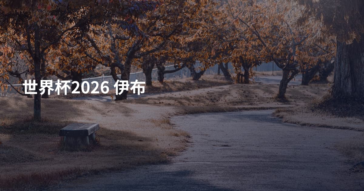 世界杯2026 伊布