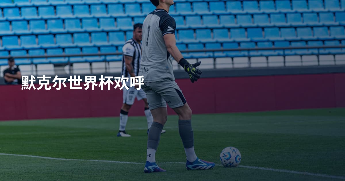 默克尔世界杯欢呼
