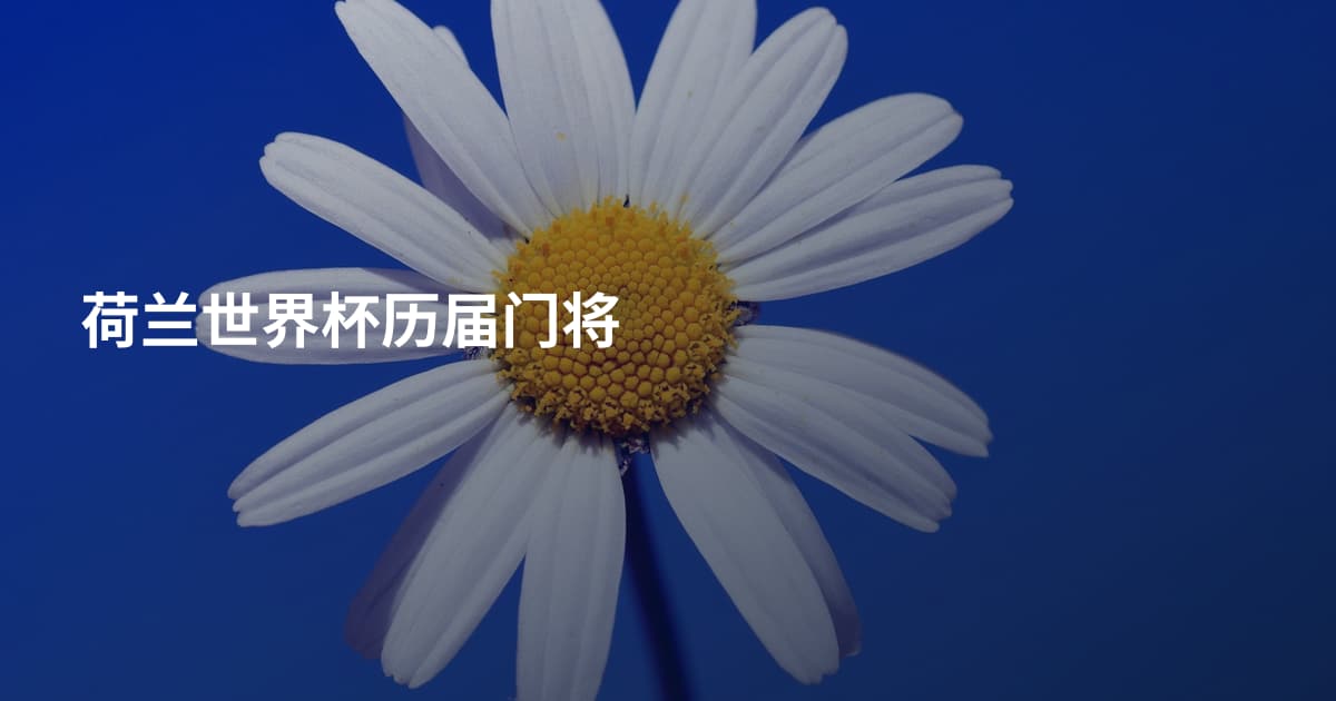 荷兰世界杯历届门将