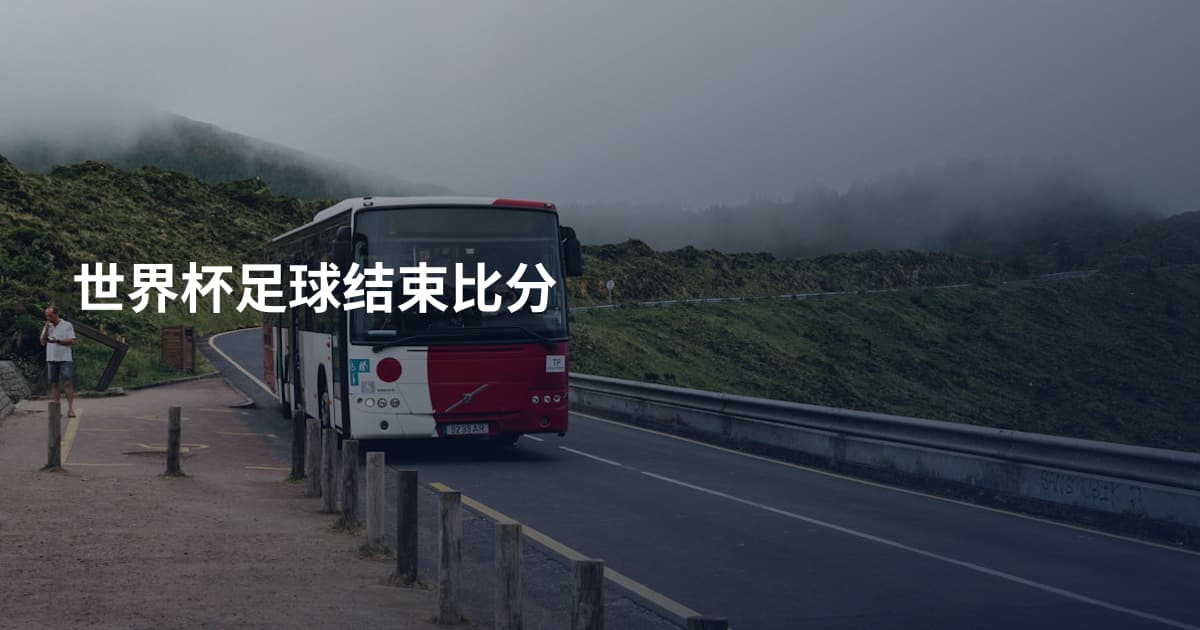 世界杯足球结束比分