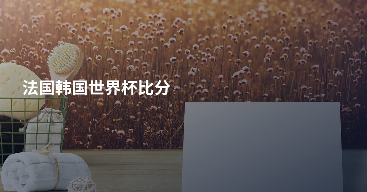 法国韩国世界杯比分