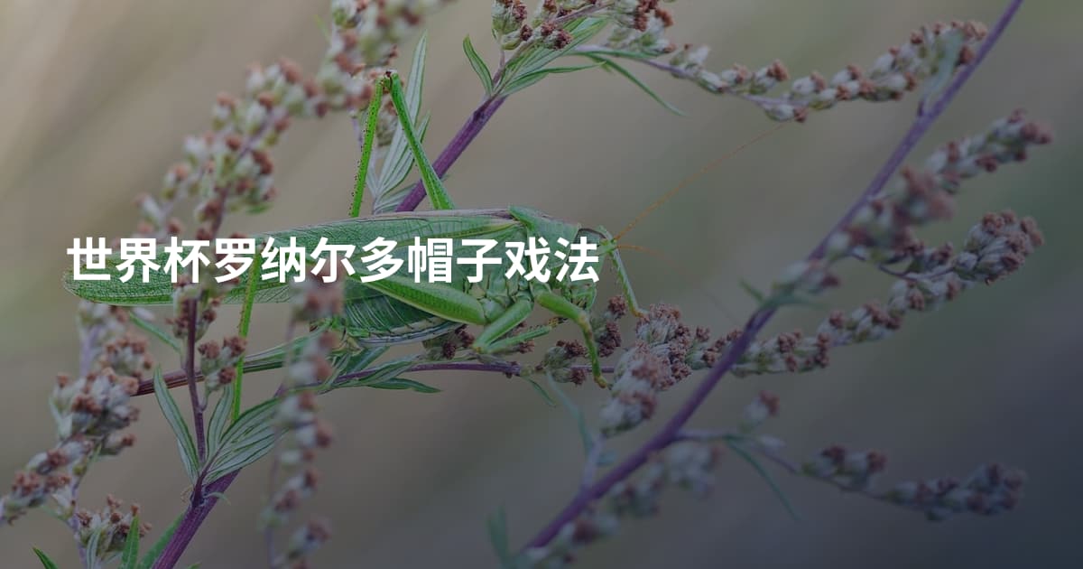 世界杯罗纳尔多帽子戏法