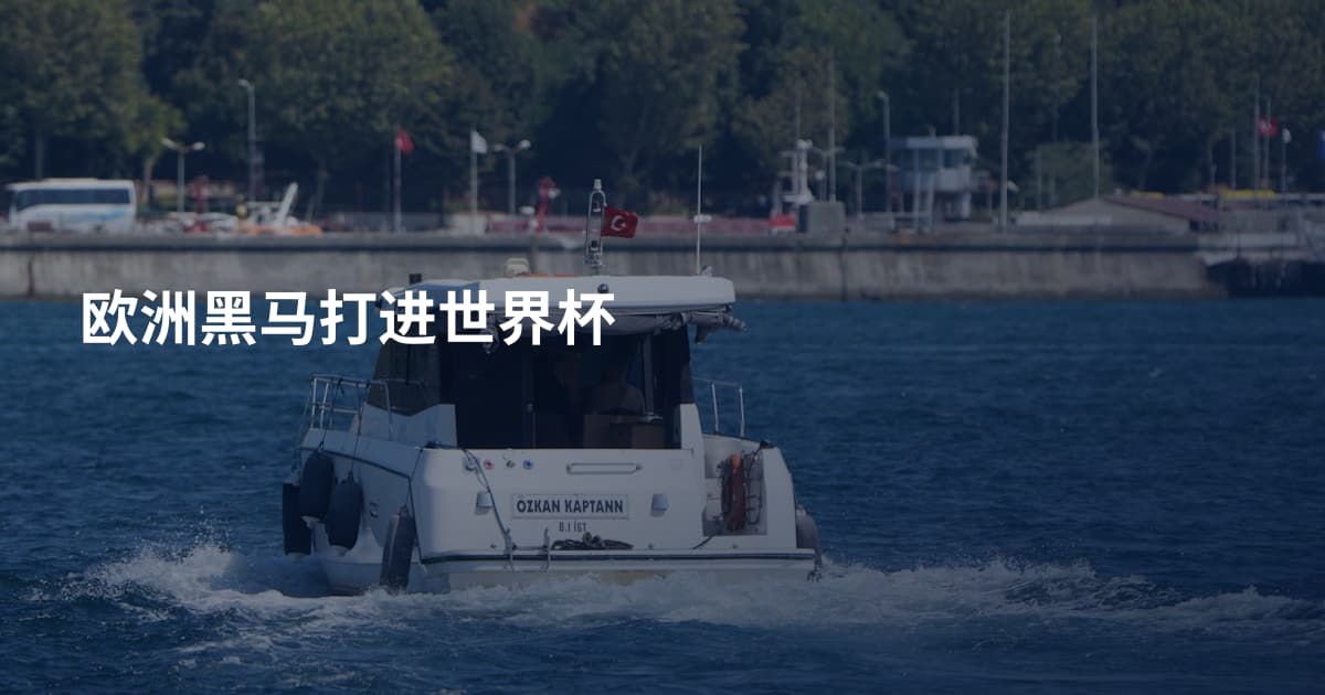 欧洲黑马打进世界杯