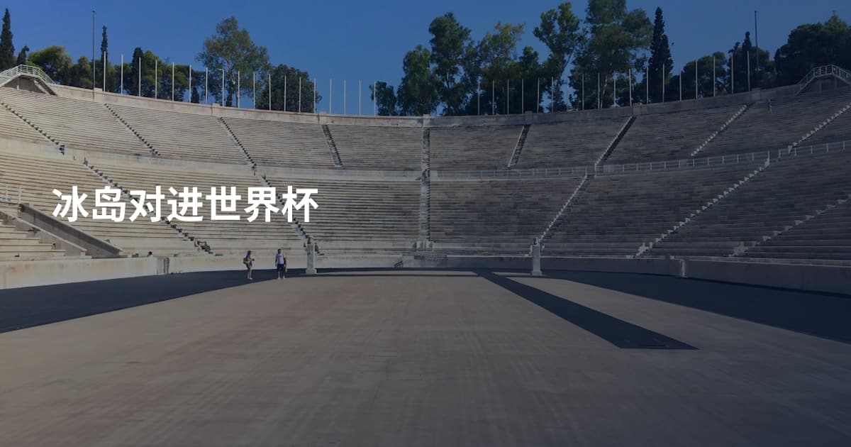 冰岛对进世界杯