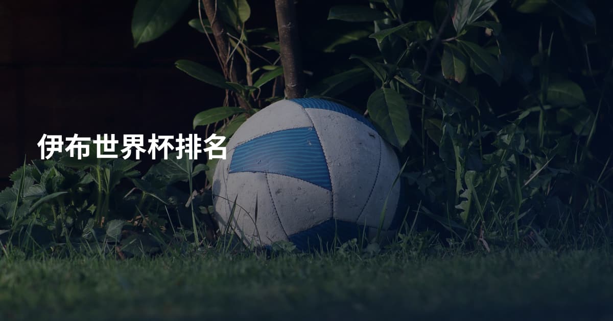 伊布世界杯排名