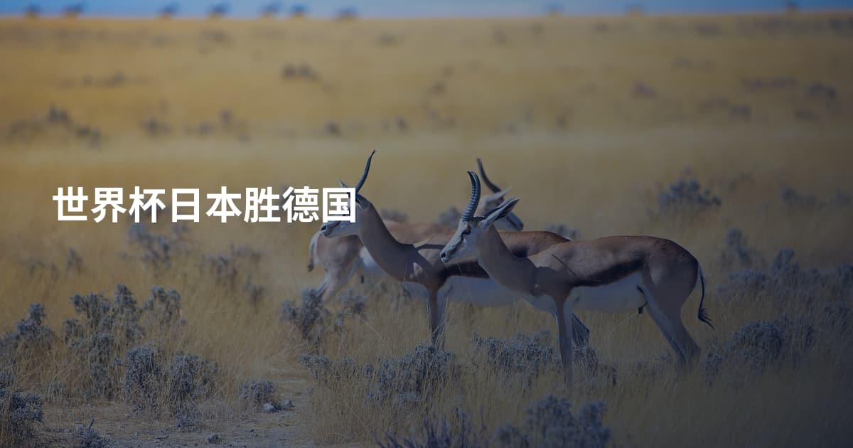 世界杯日本胜德国