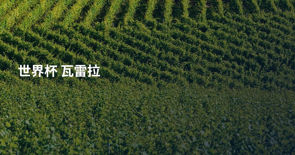 世界杯 瓦雷拉