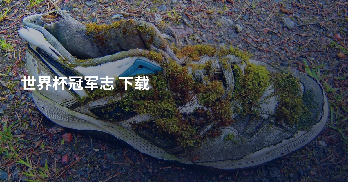 世界杯冠军志 下载